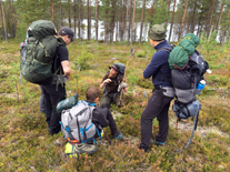 Djurspårning