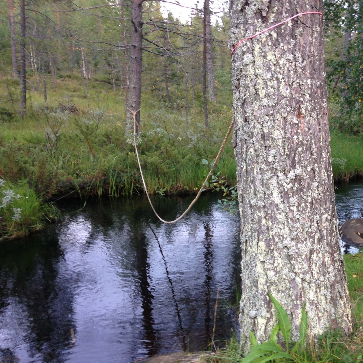 Inlandsbanan Tjappsåive