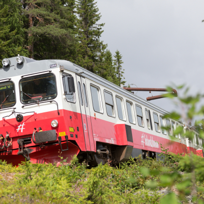Rälsbuss vid Knoppens vattentag 