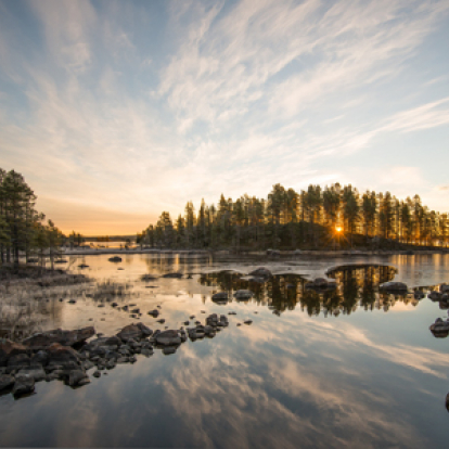 Naturbild inlandet  Foto:Peter Rosén